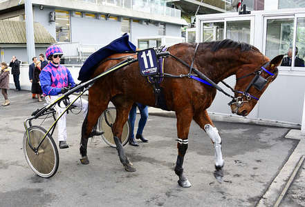 Actualités Hippiques